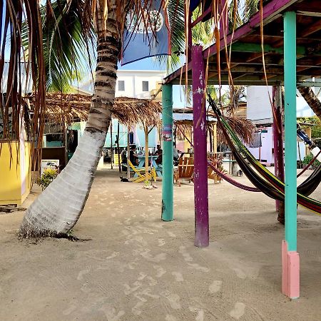 A Pousada Tropical Oasis Caye Corker Exterior foto