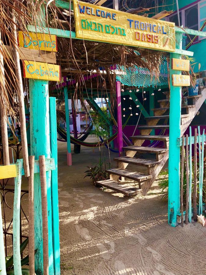 A Pousada Tropical Oasis Caye Corker Exterior foto