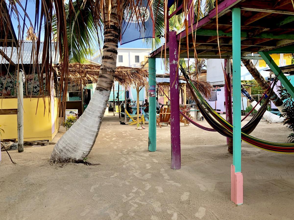 A Pousada Tropical Oasis Caye Corker Exterior foto
