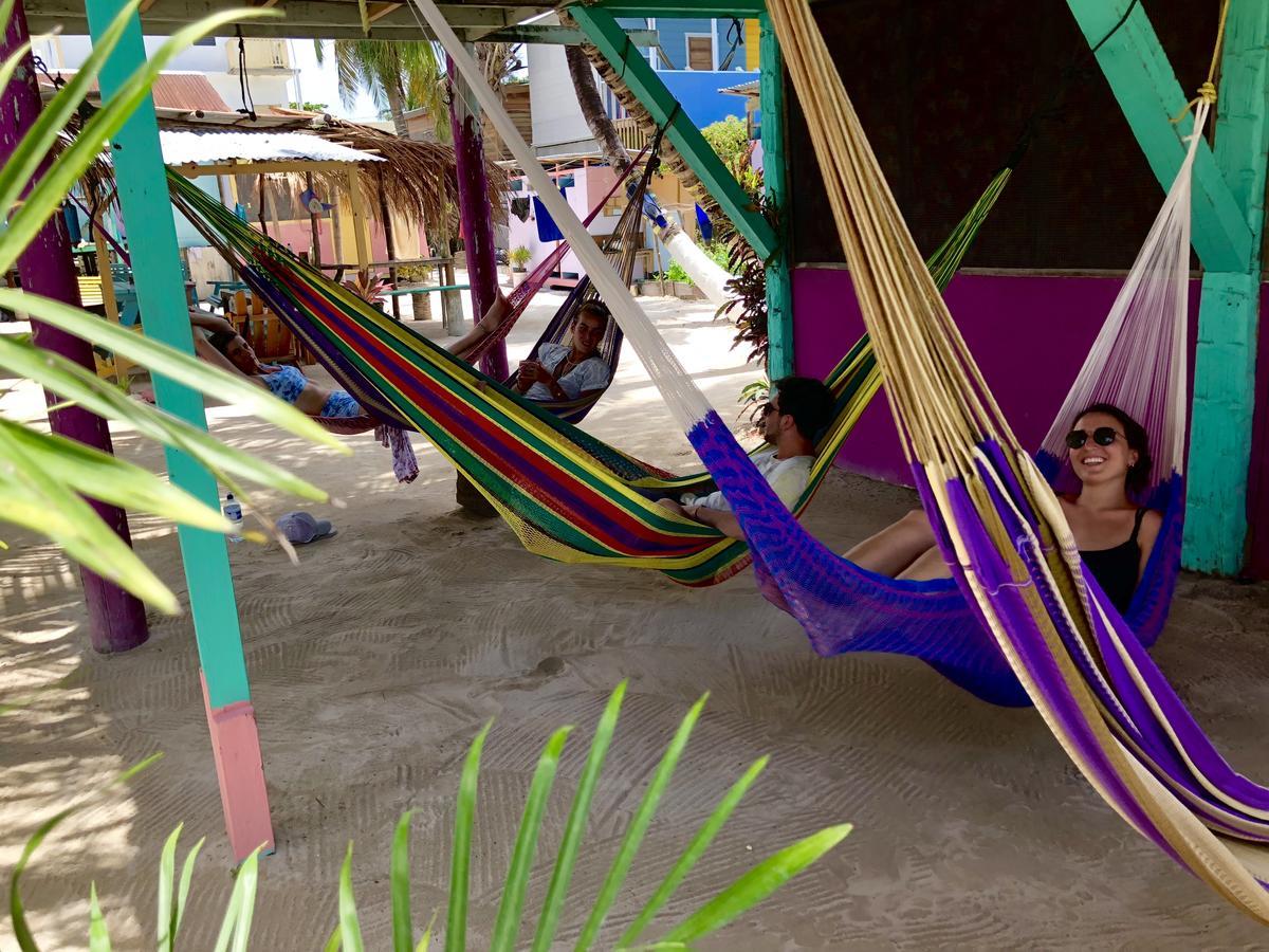 A Pousada Tropical Oasis Caye Corker Exterior foto