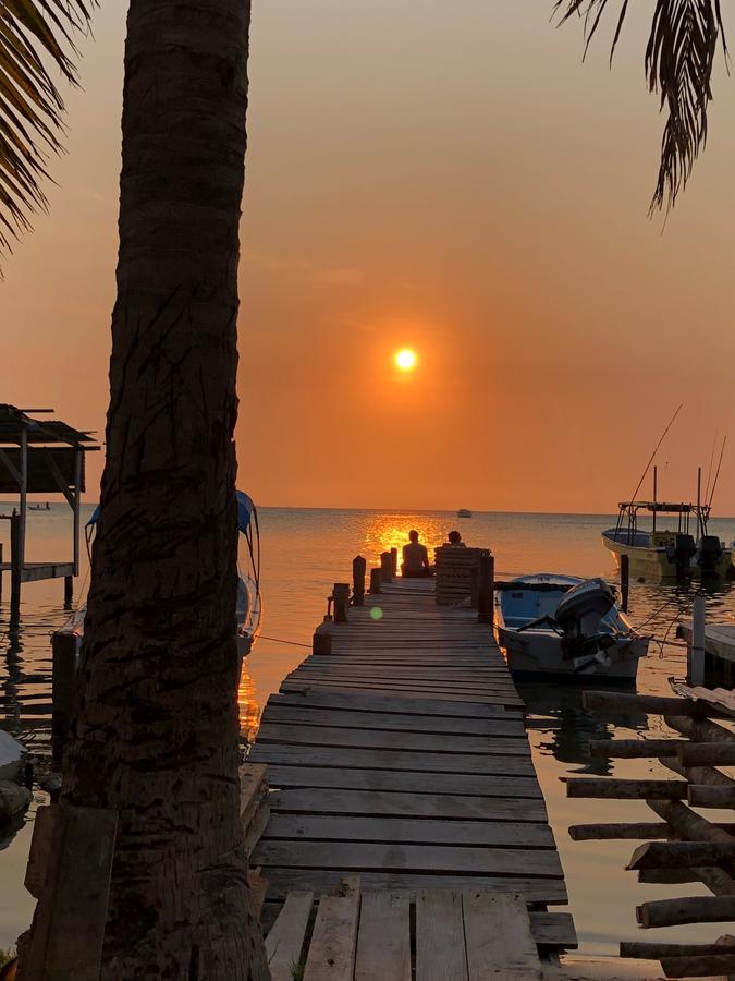 A Pousada Tropical Oasis Caye Corker Exterior foto