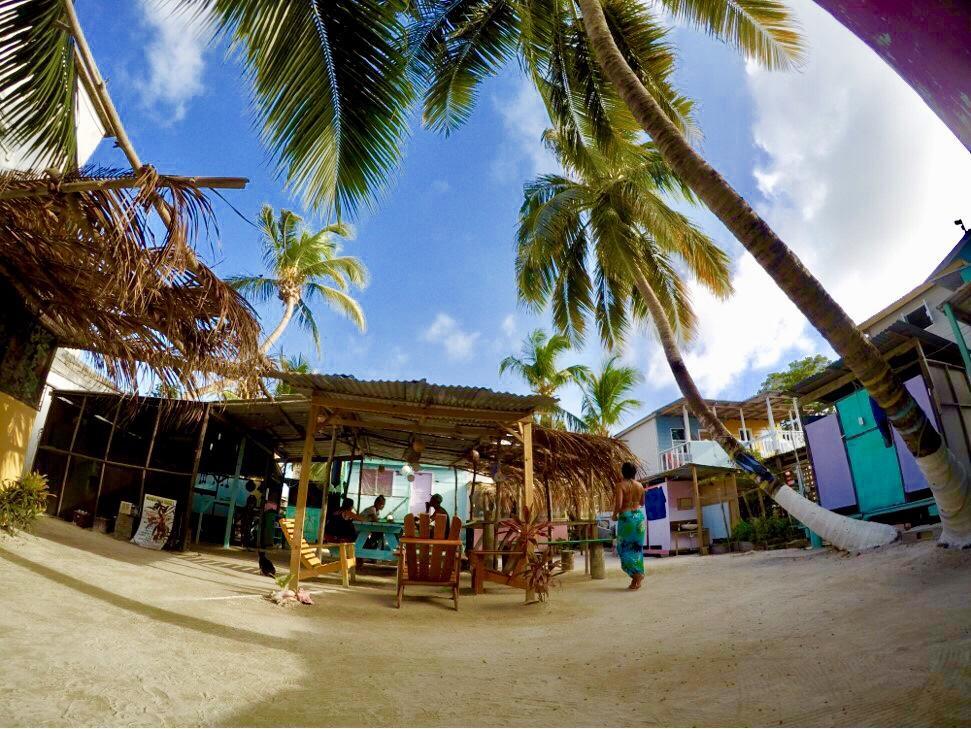 A Pousada Tropical Oasis Caye Corker Exterior foto